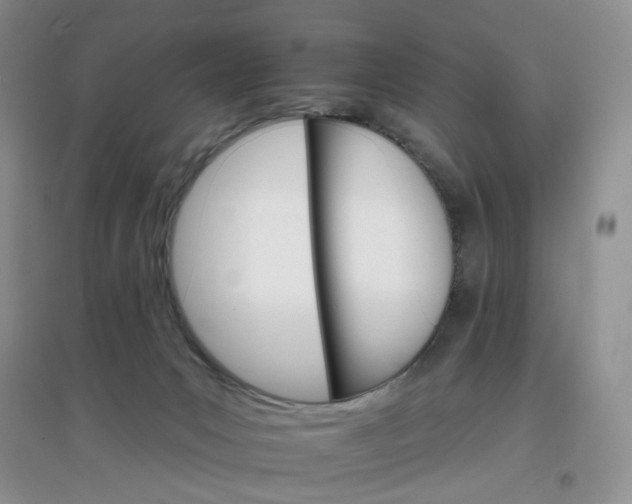 X0000097670031200803142205