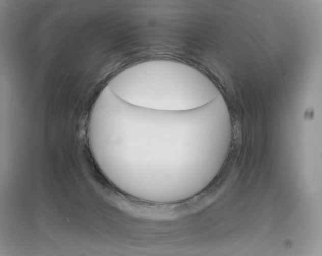 X0000097670032200803142205
