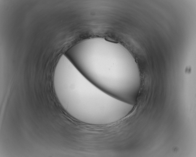X0000097670033200803142204