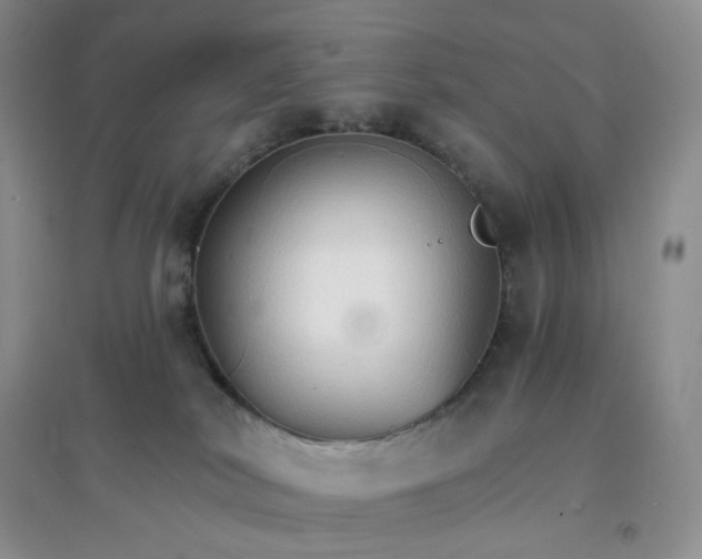 X0000097670038200803142204