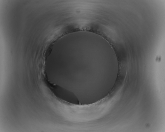 X0000097670039200803142204