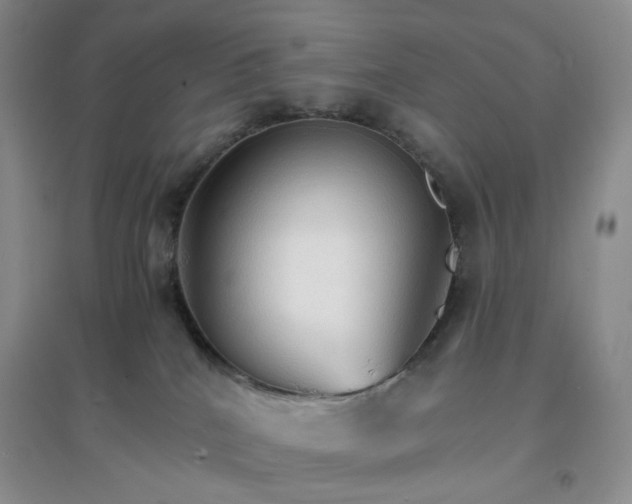 X0000097670040200803142204