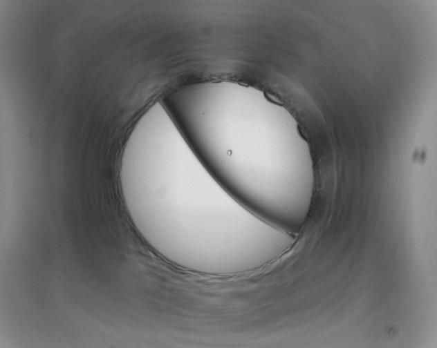 X0000097670041200803142204
