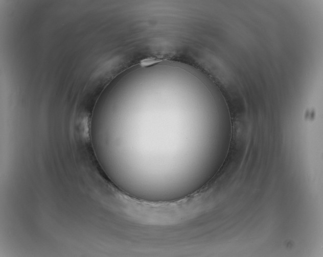 X0000097670042200803142204