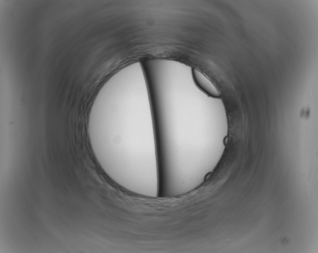X0000097670044200803142204