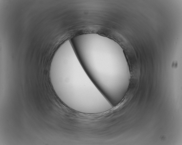 X0000097670045200803142204