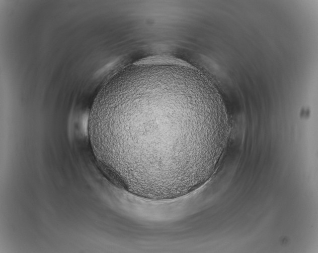 X0000097670047200803142204