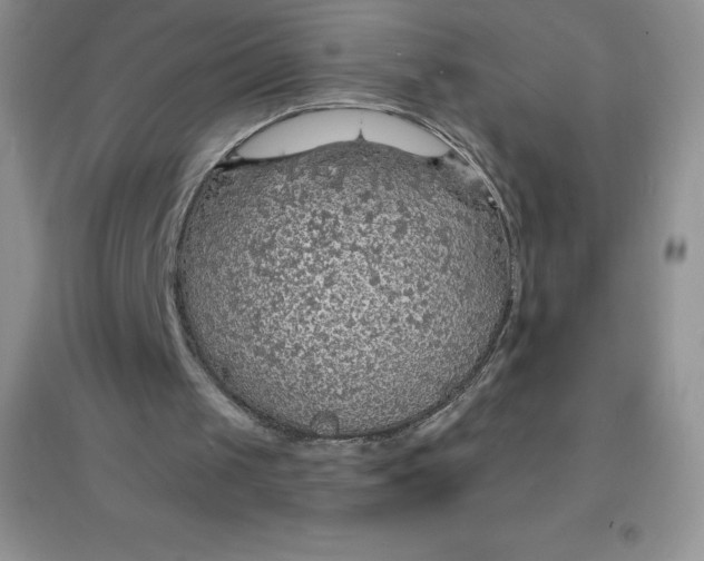 X0000097670049200803142204