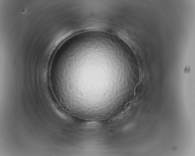 X0000097670050200803142204