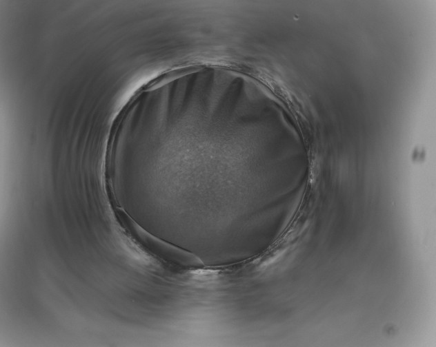 X0000097670052200803142204