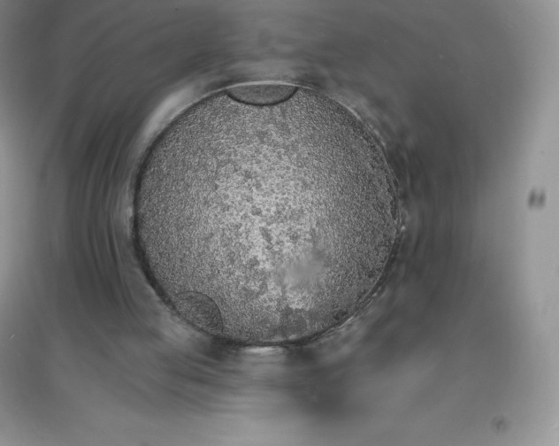 X0000097670053200803142204