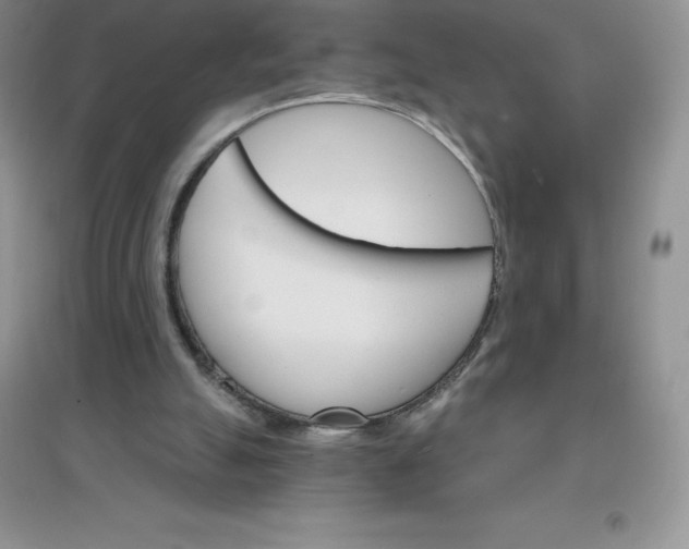 X0000097670055200803142204