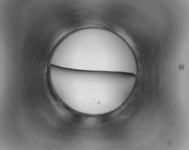 X0000097670058200803142204