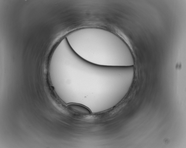 X0000097670059200803142204