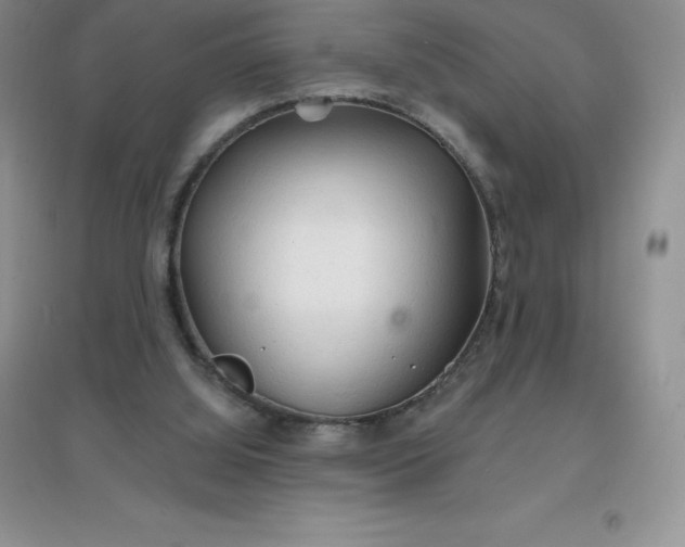X0000097670060200803142204