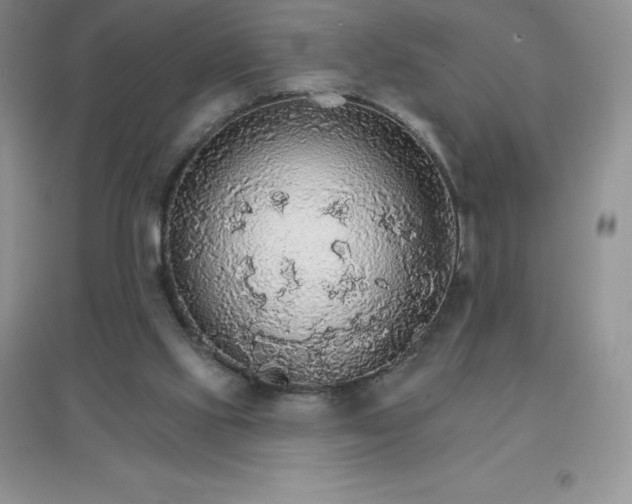 X0000097670061200803142204