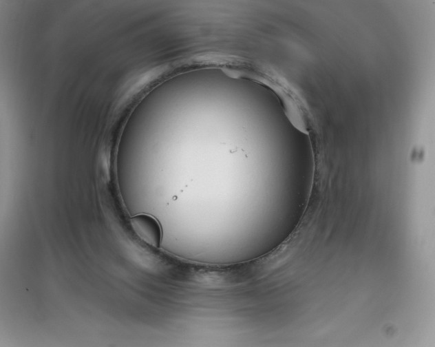 X0000097670062200803142204