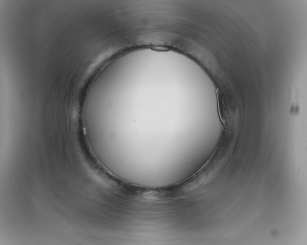 X0000097670064200803142204