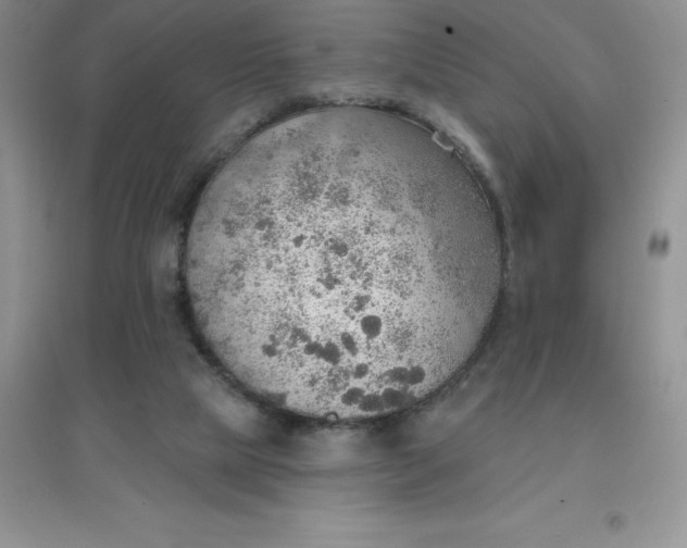 X0000097670065200803142204