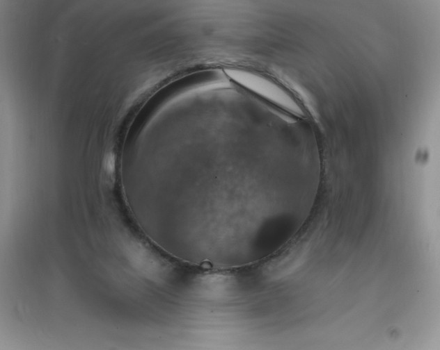 X0000097670067200803142204