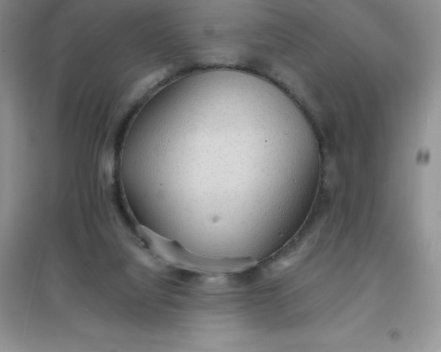 X0000097670068200803142204