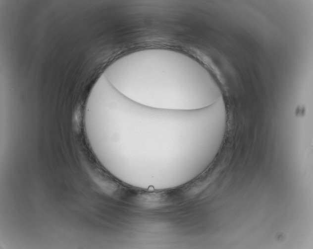 X0000097670069200803142204