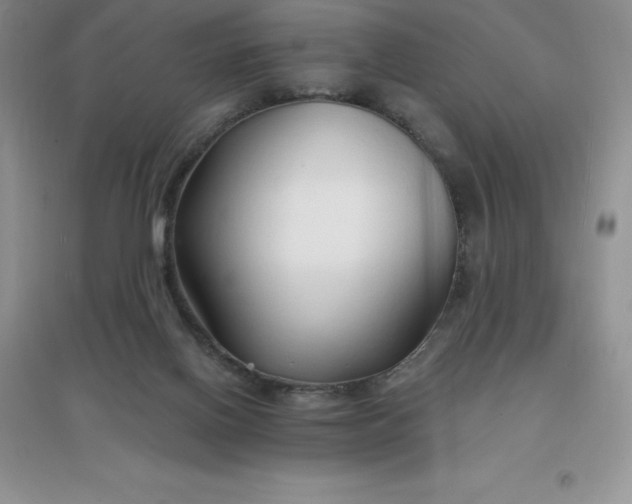 X0000097670070200803142204