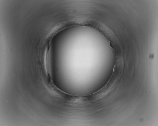 X0000097670072200803142204