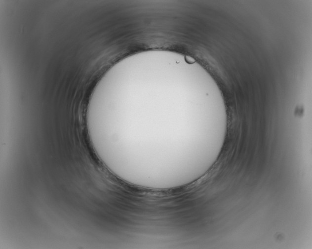 X0000097670074200803142204