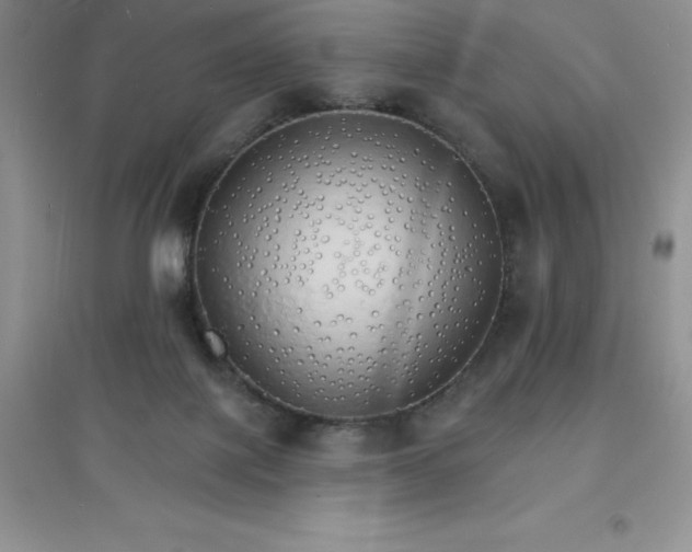 X0000097670075200803142204