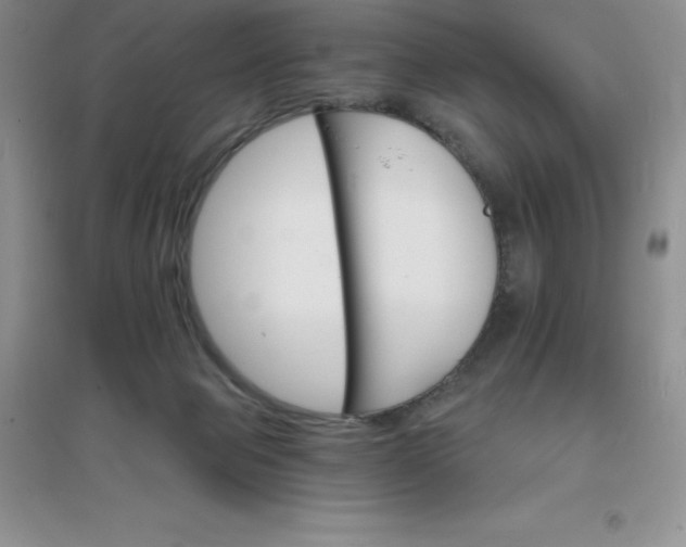 X0000097670077200803142204