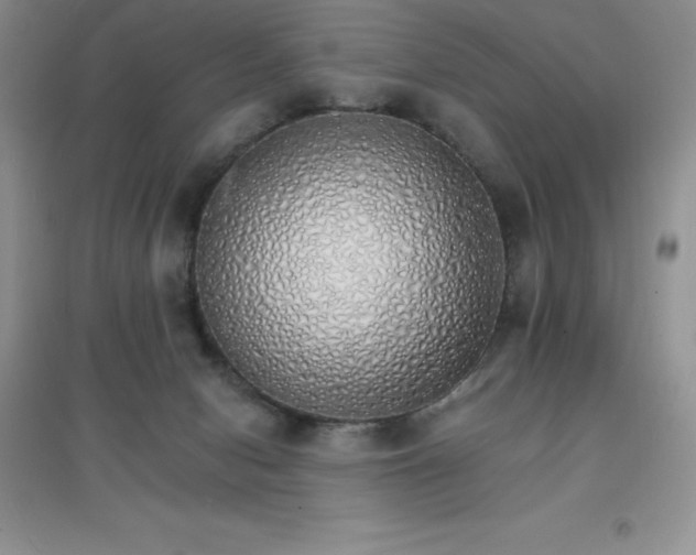 X0000097670078200803142204