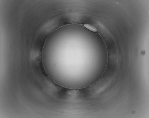 X0000097670079200803142204