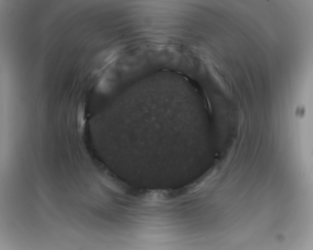X0000097670080200803142204