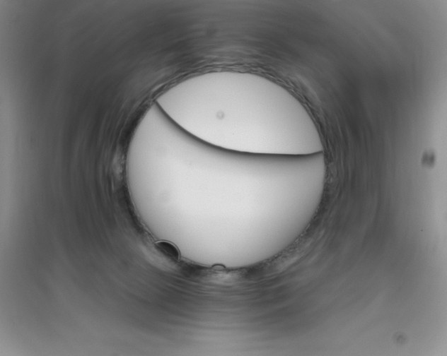 X0000097670081200803142204