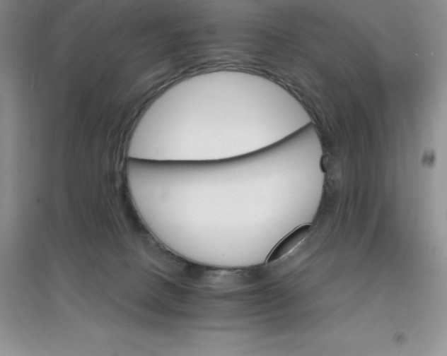 X0000097670082200803142204