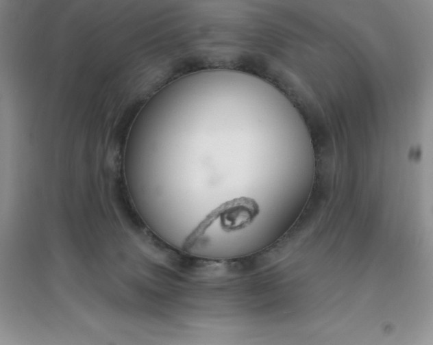 X0000097670083200803142204