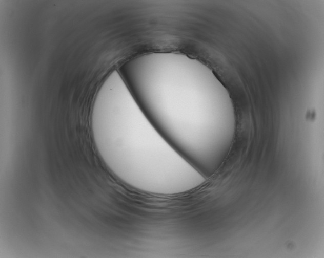 X0000097670084200803142204