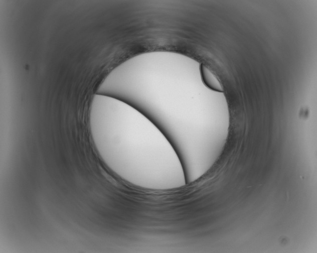 X0000097670087200803142204