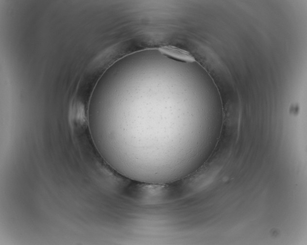 X0000097670089200803142204