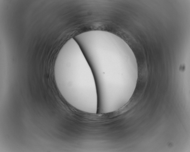 X0000097670090200803142204