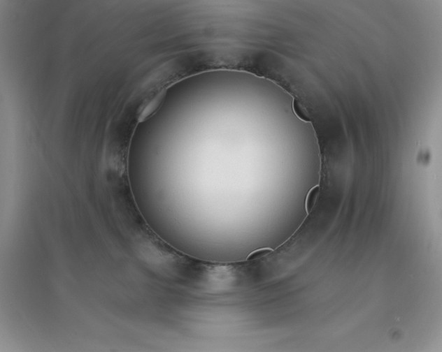 X0000097670091200803142204