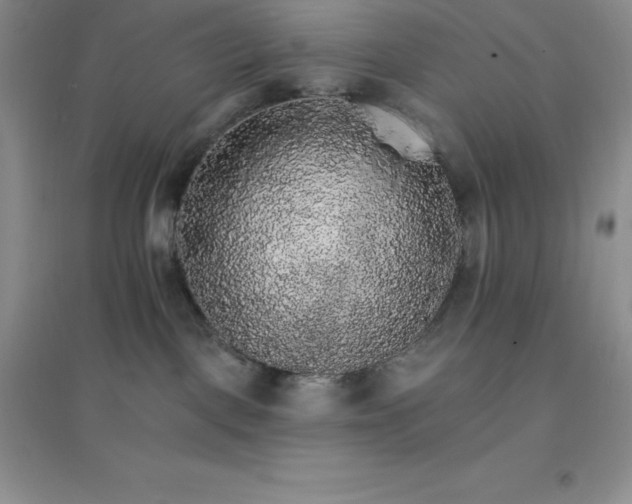 X0000097670093200803142204