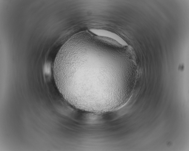 X0000097670094200803142204