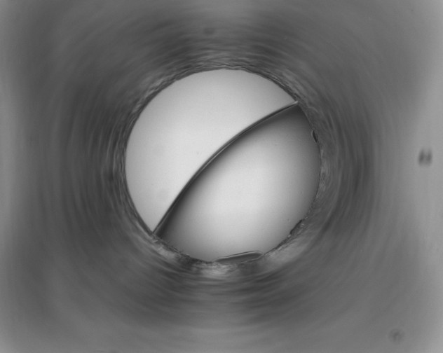 X0000097670096200803142204