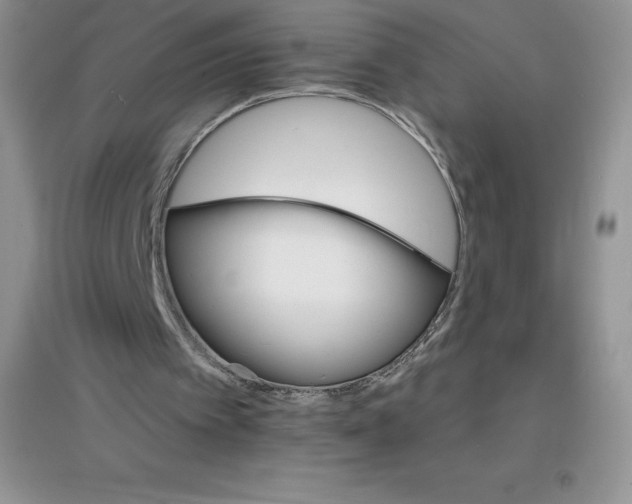 X0000097670097200803142204