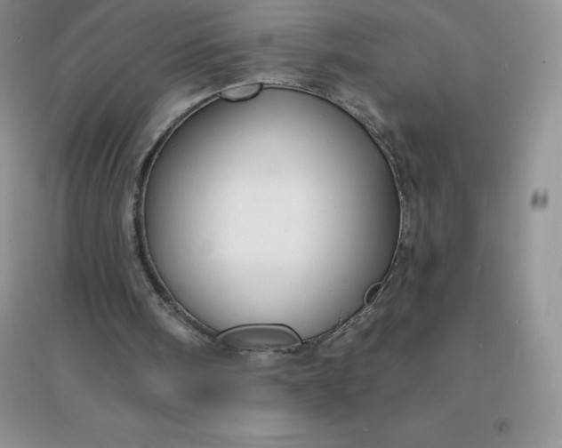 X0000097670098200803142204