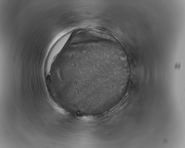 X0000097670100200803142203