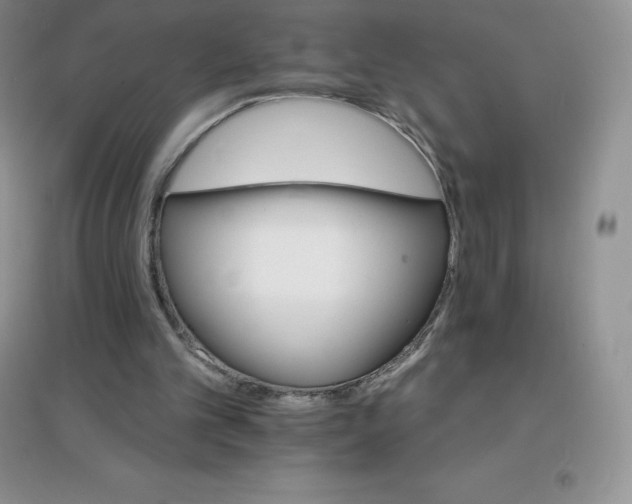 X0000097670101200803142203