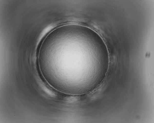 X0000097670102200803142203